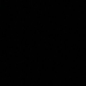 Meet your Posher, Bailey